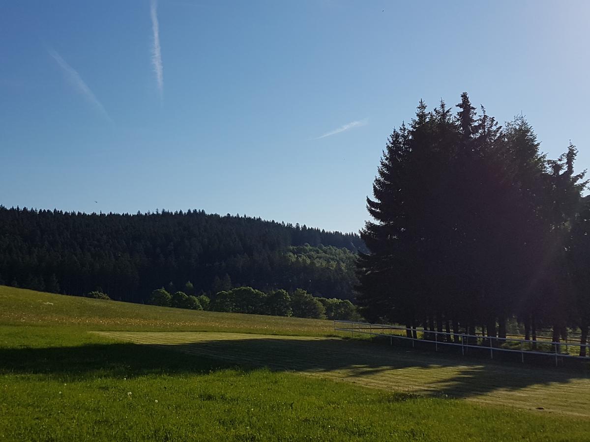 Gaestehaus Bartlehof Schluchsee Dış mekan fotoğraf